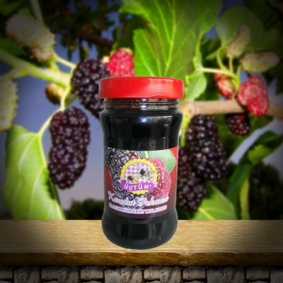 &Uuml;st&uuml;n Karadut Pekmezi 760 g Cam